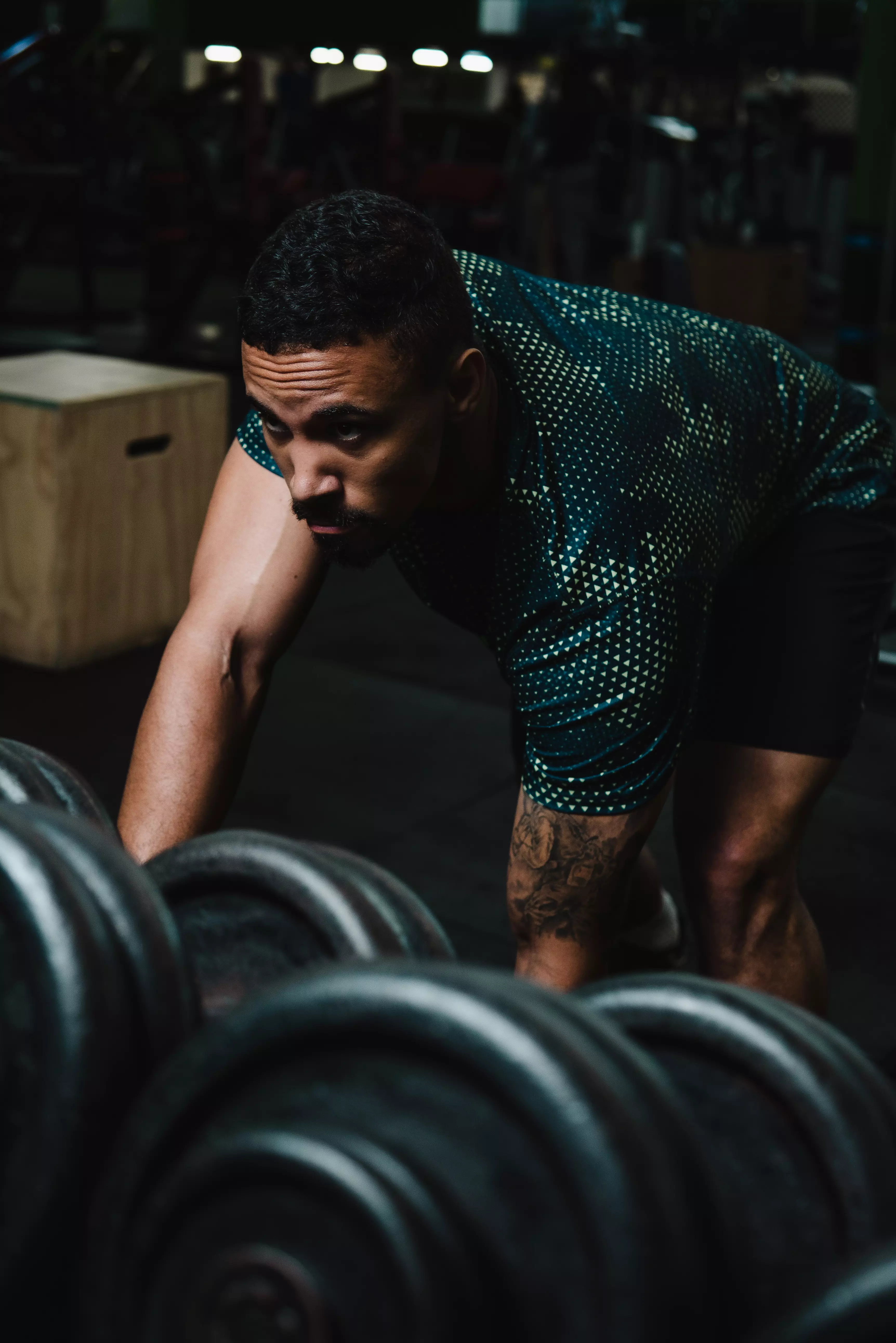 Online muscle building Program